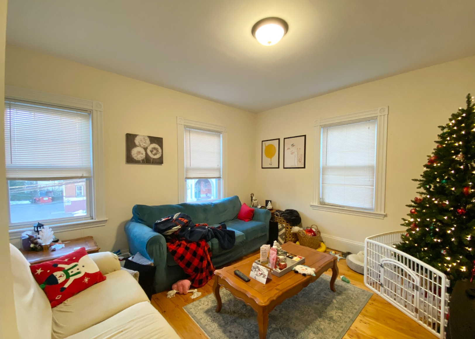 40 Harvest St, Dorchester