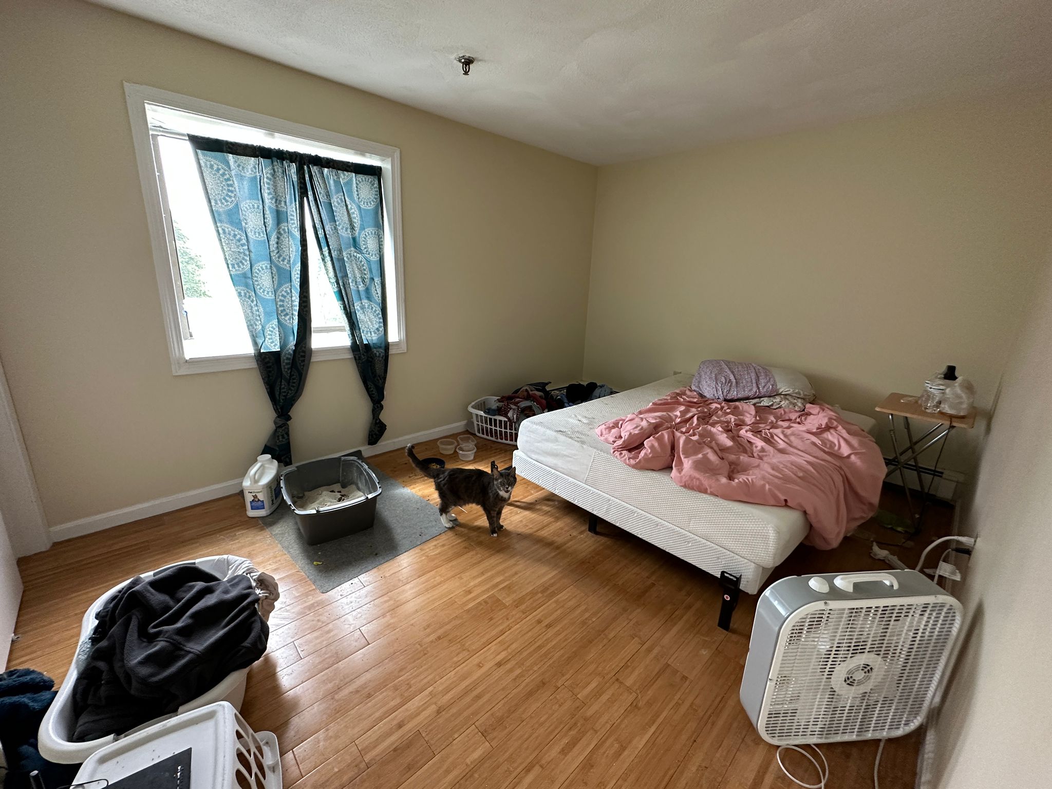 85 Broad St, Marlborough