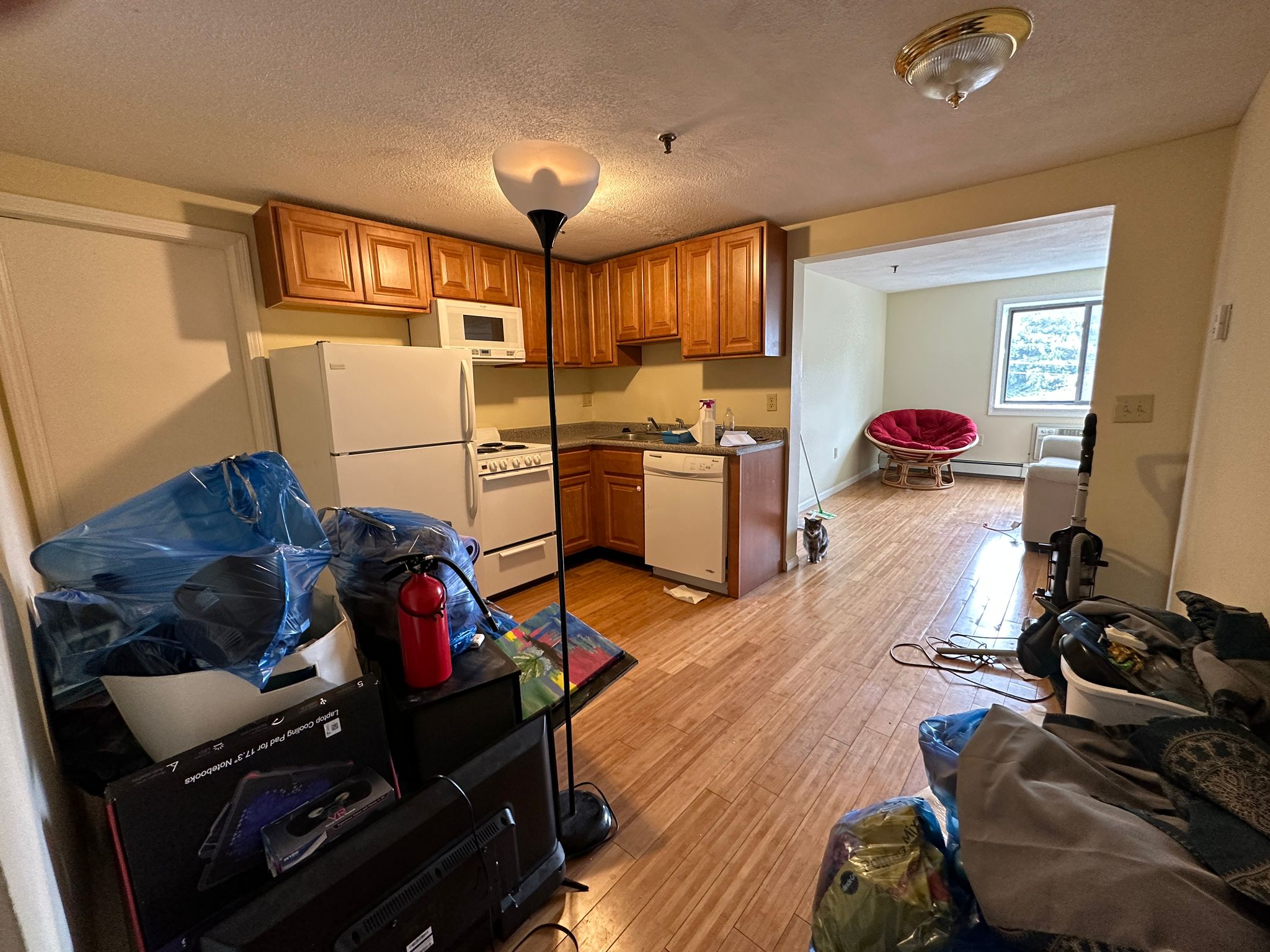 85 Broad St, Marlborough