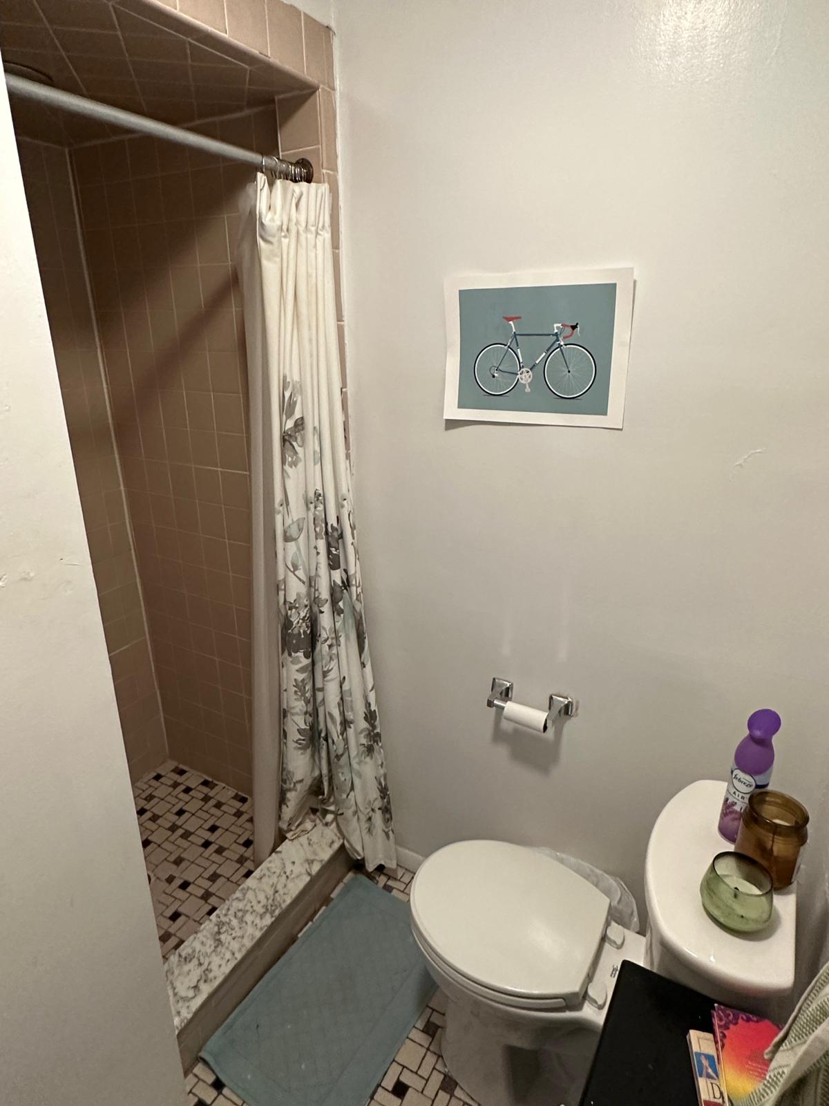 34 Medfield St, Fenway