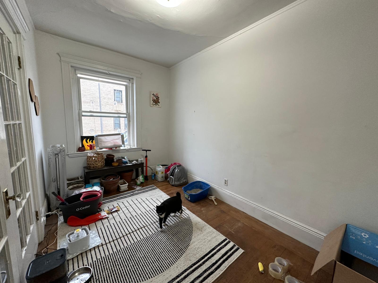 34 Medfield St, Fenway