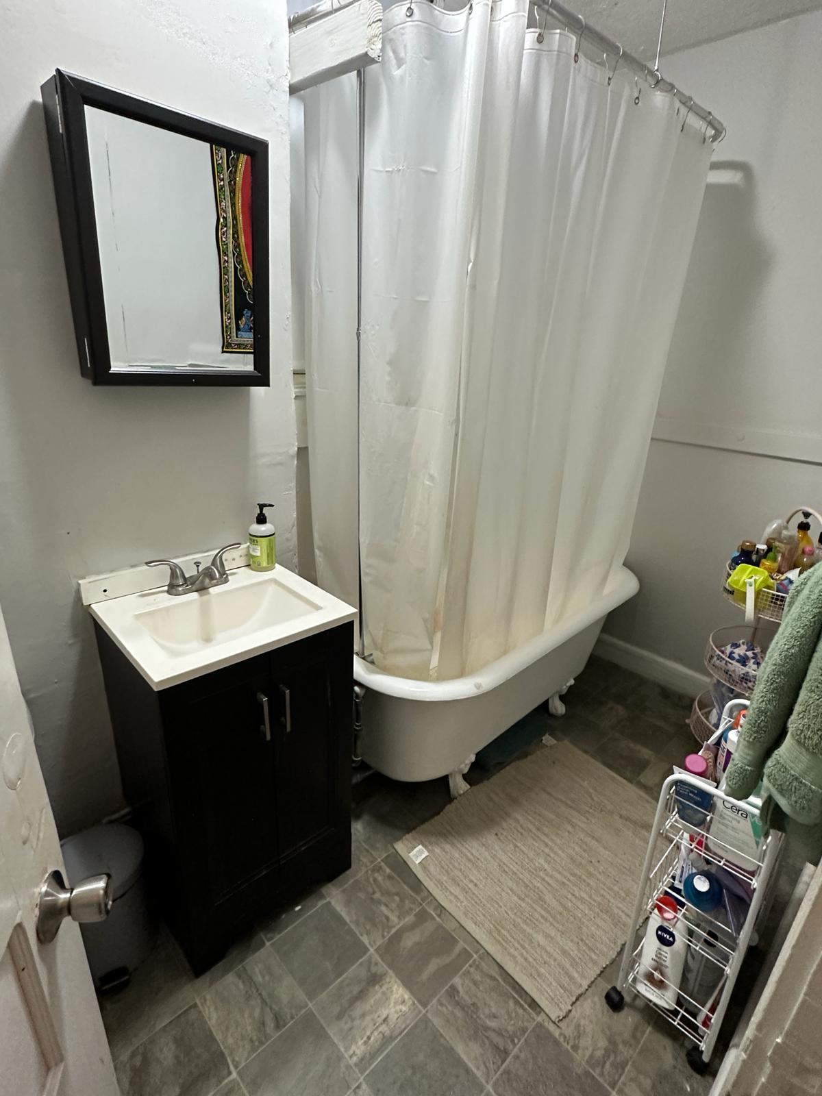 218 South St, Jamaica Plain