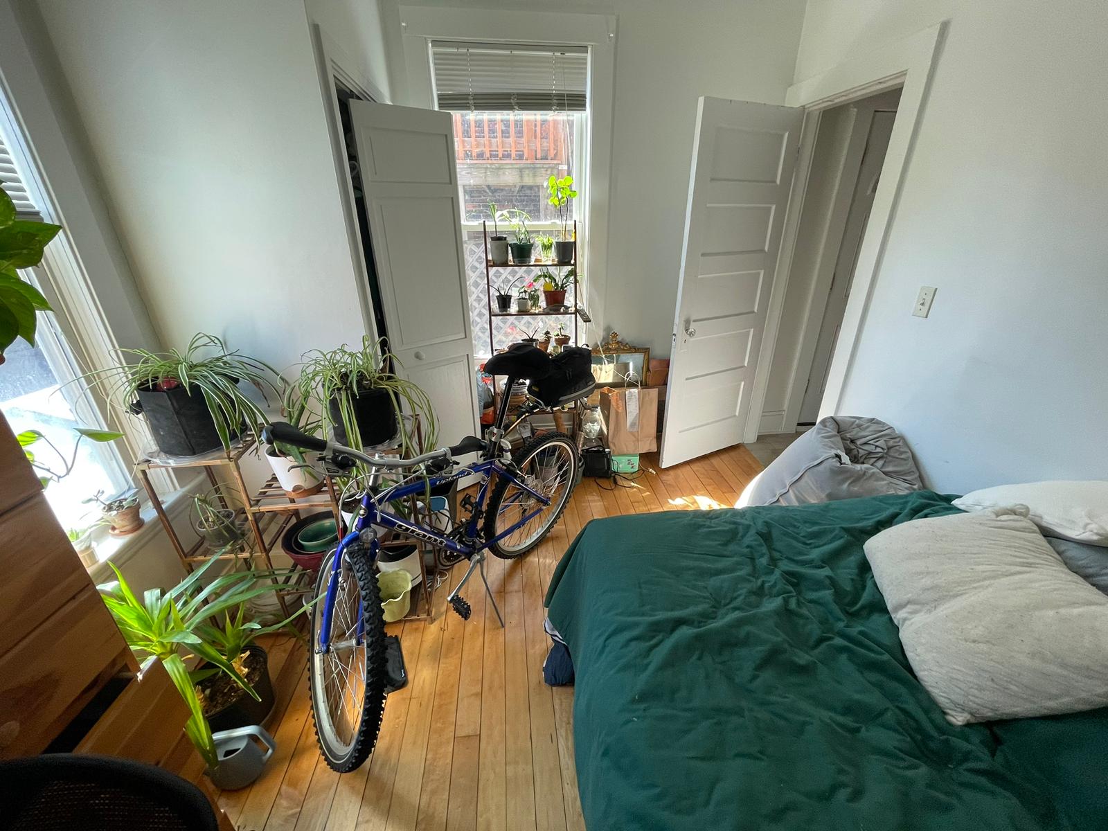 1516 Commonwealth Ave, Brighton