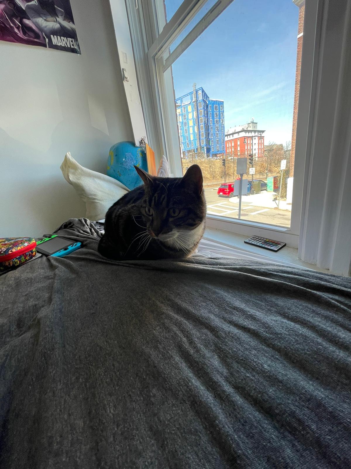 1516 Commonwealth Ave, Brighton