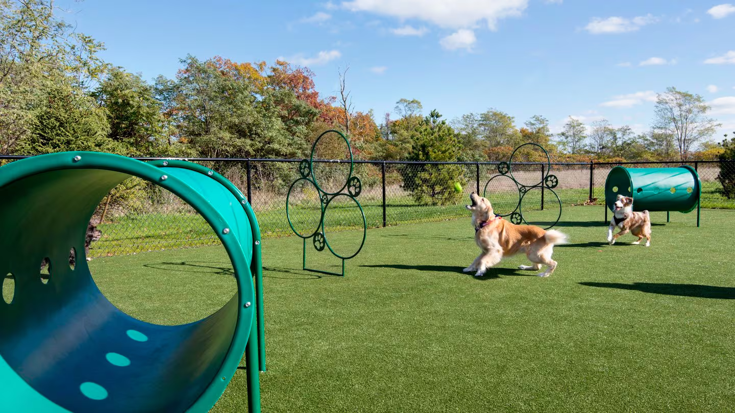 229 Quarry St, Quincy Center