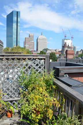 78 Warren Ave, South End