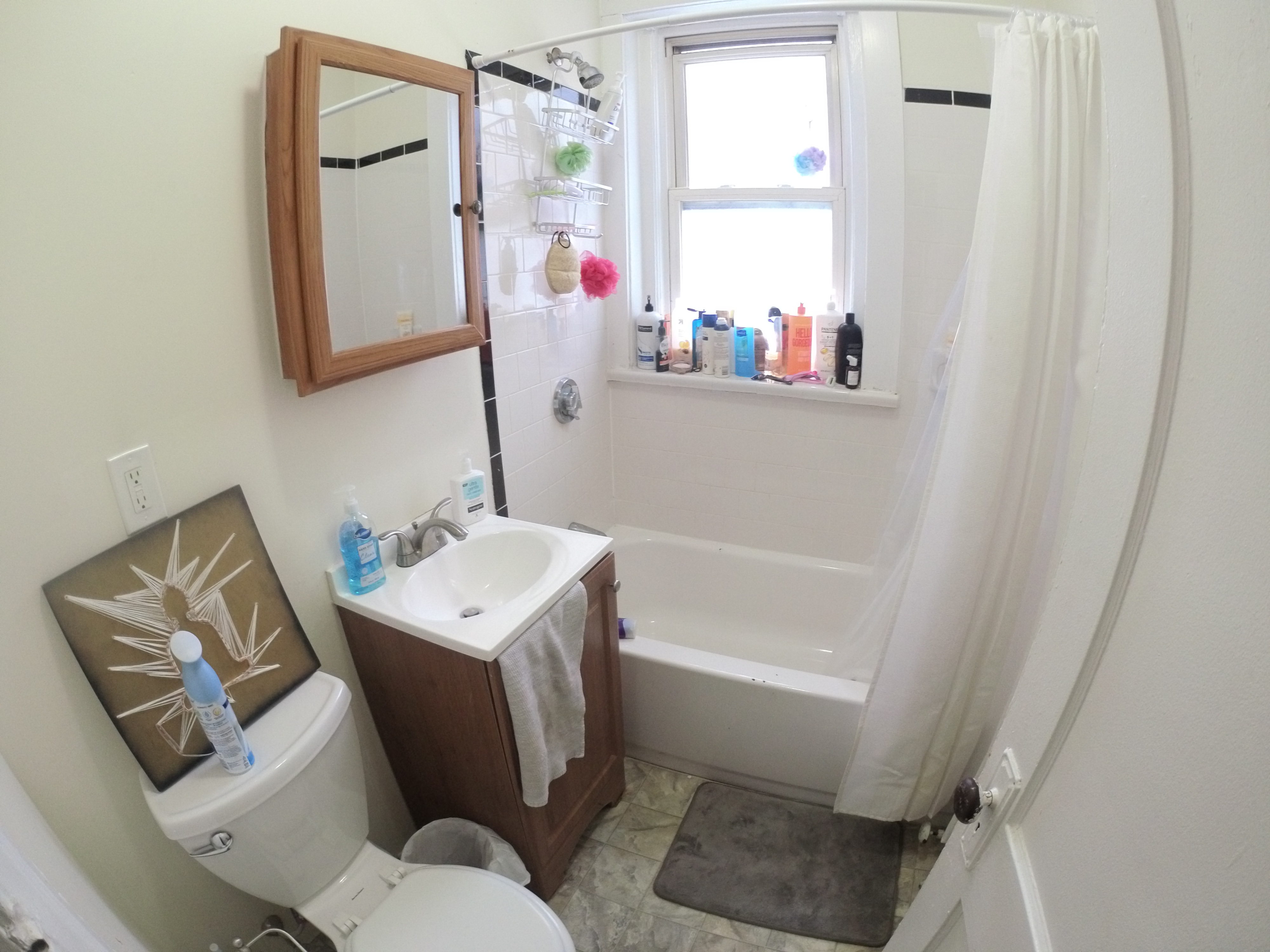 241 Freeman, Coolidge Corner