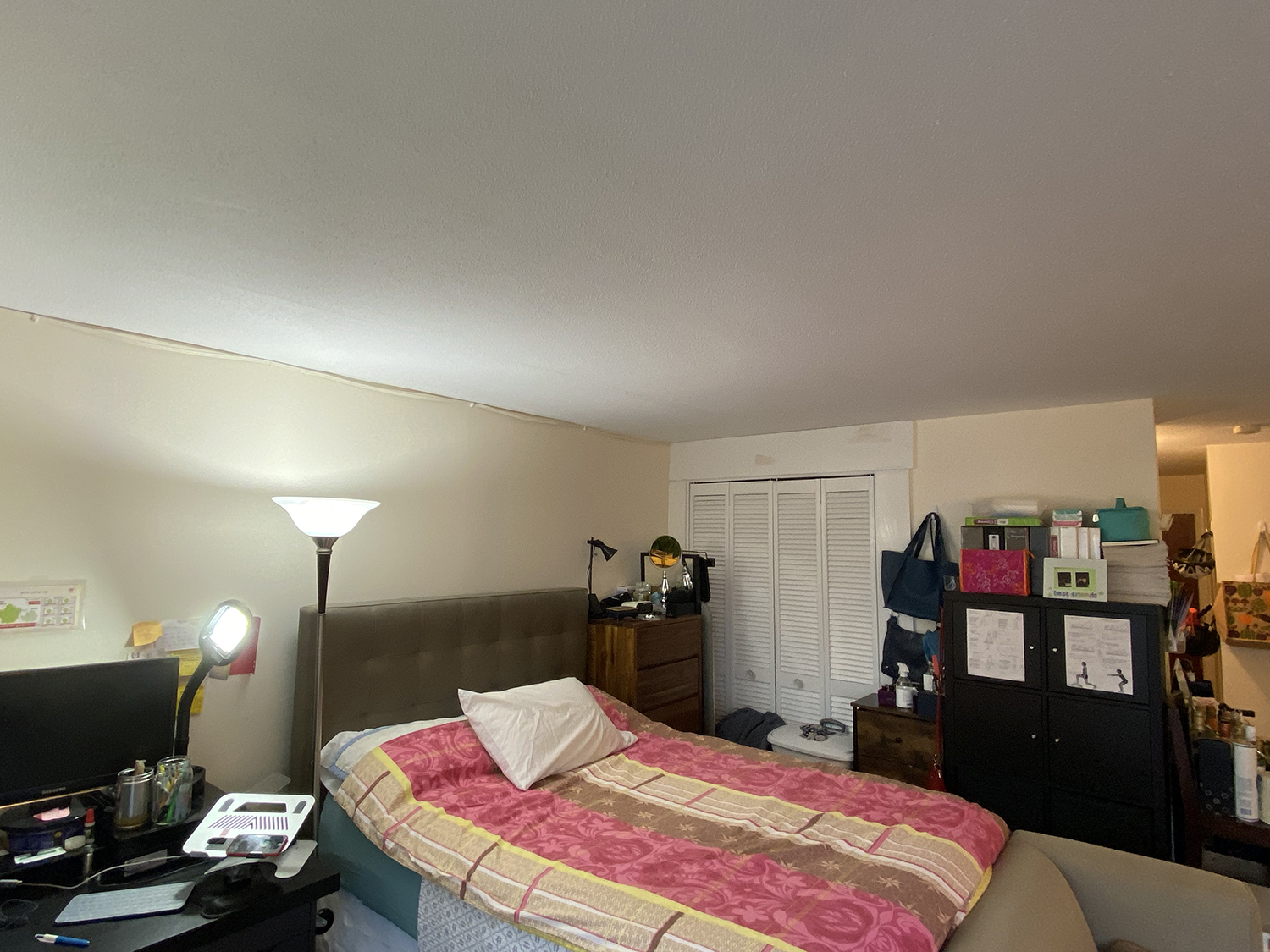 15 Francis St, Longwood