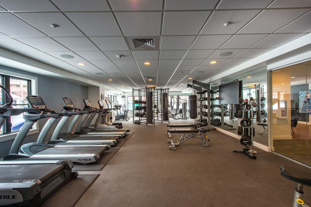 30 Cambridgepark Dr, North Cambridge