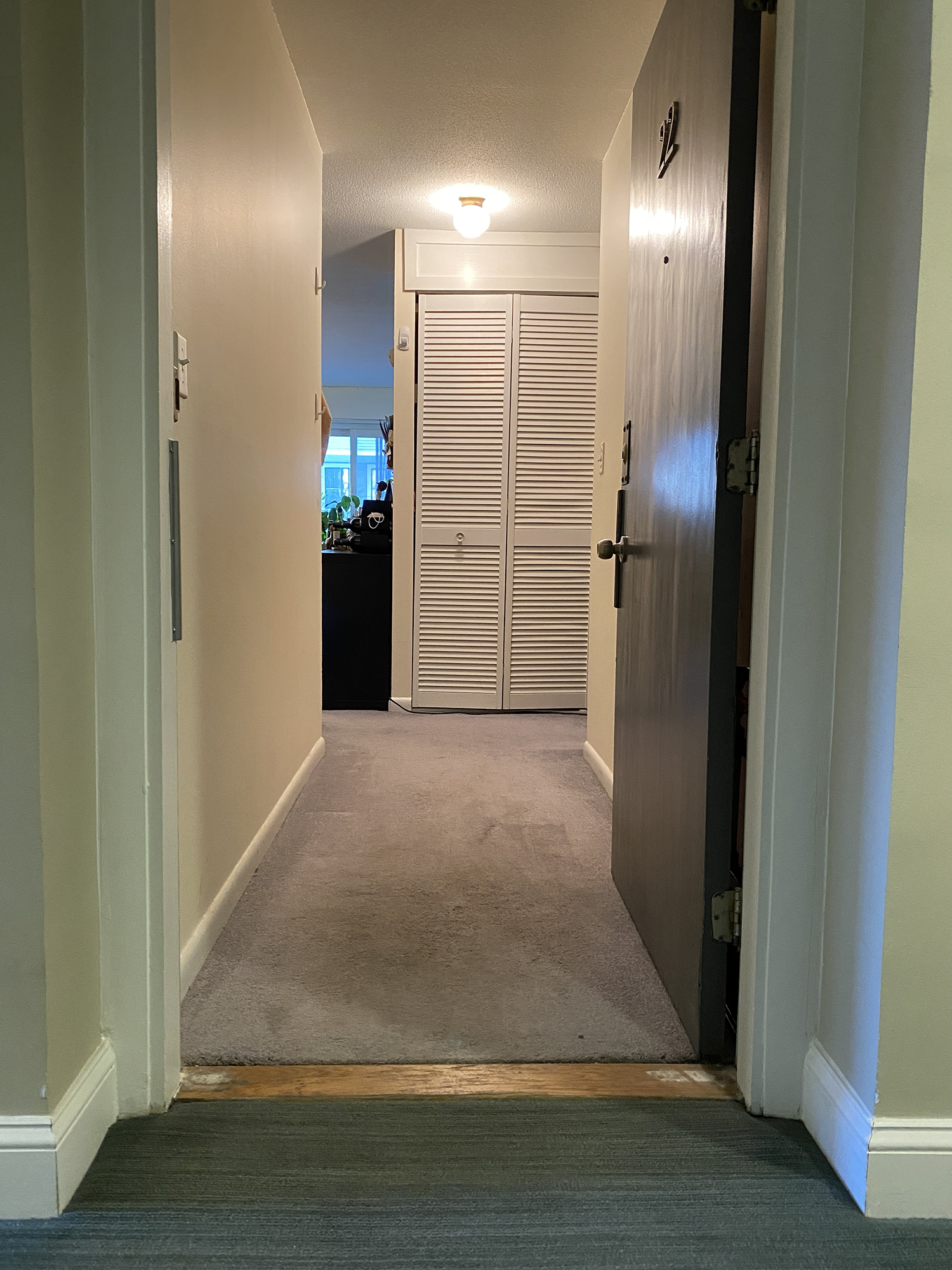 15 Francis St, Longwood