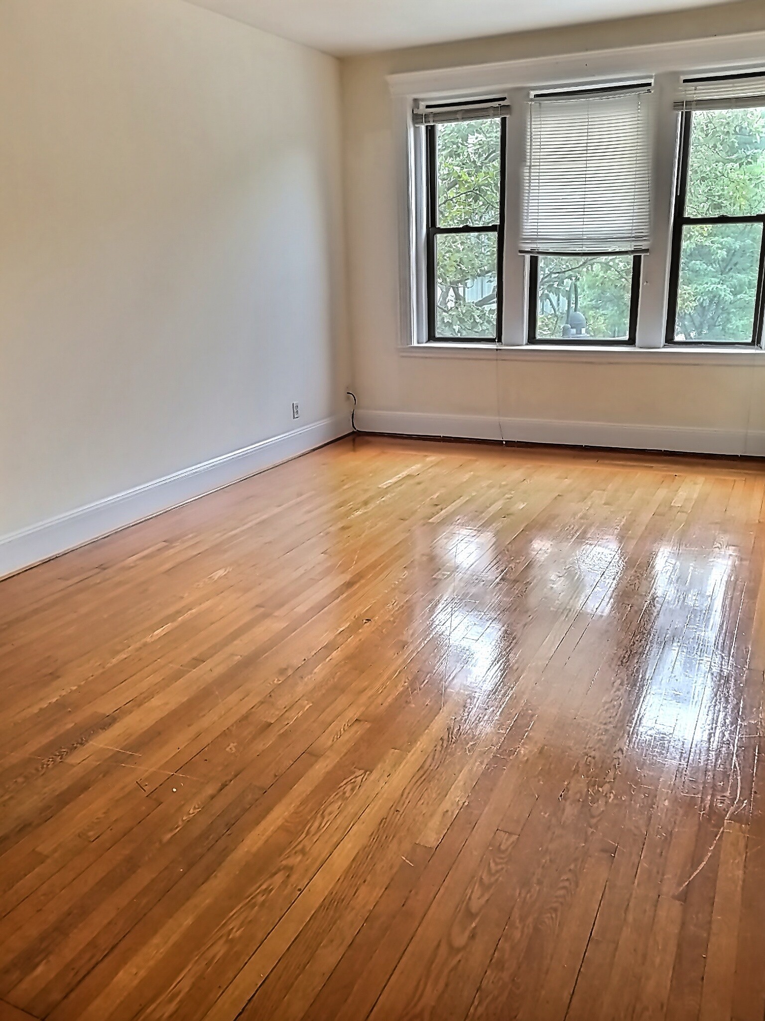 397 Harvard St, Coolidge Corner