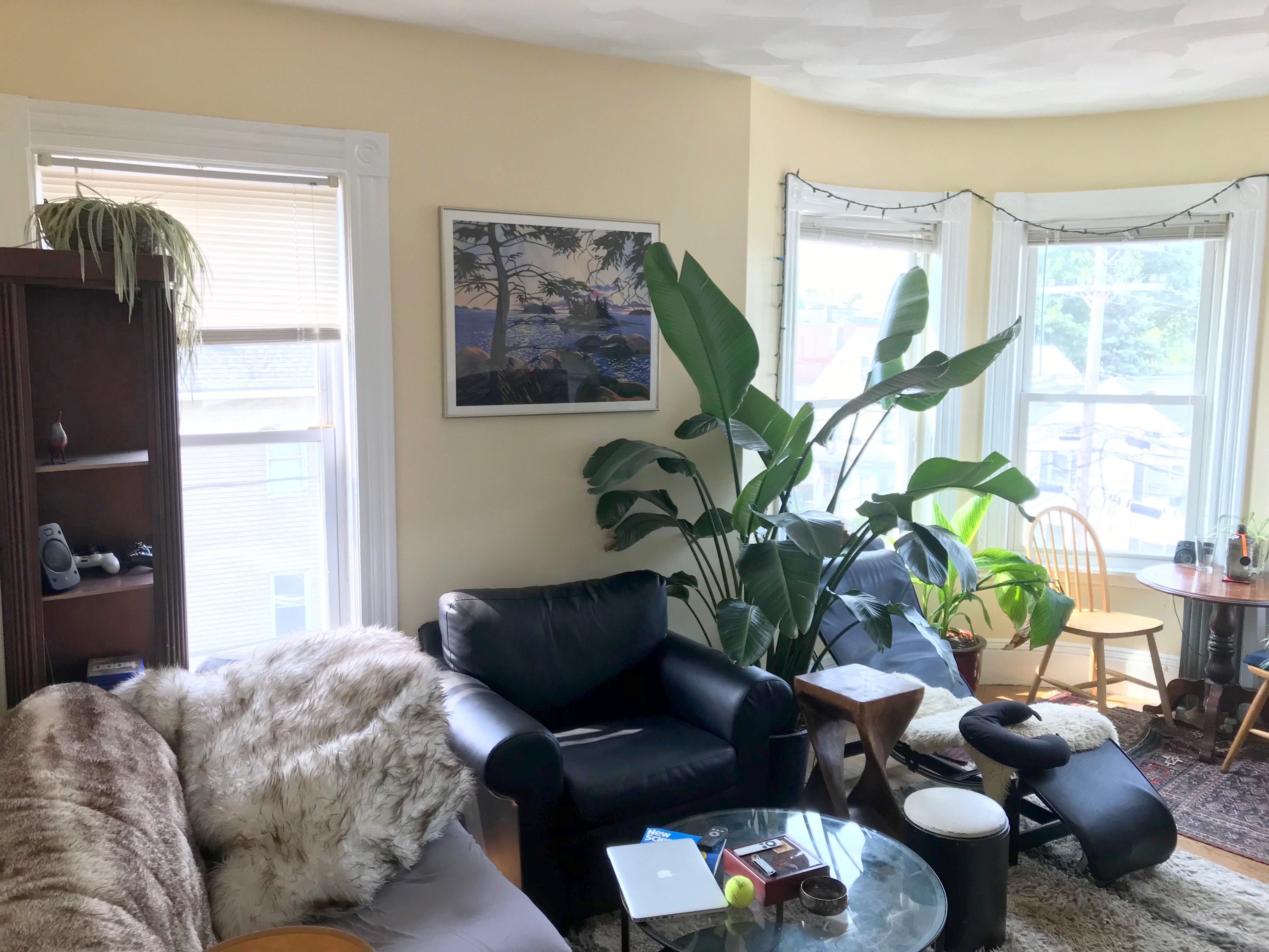 59 Cedar St, Porter Square