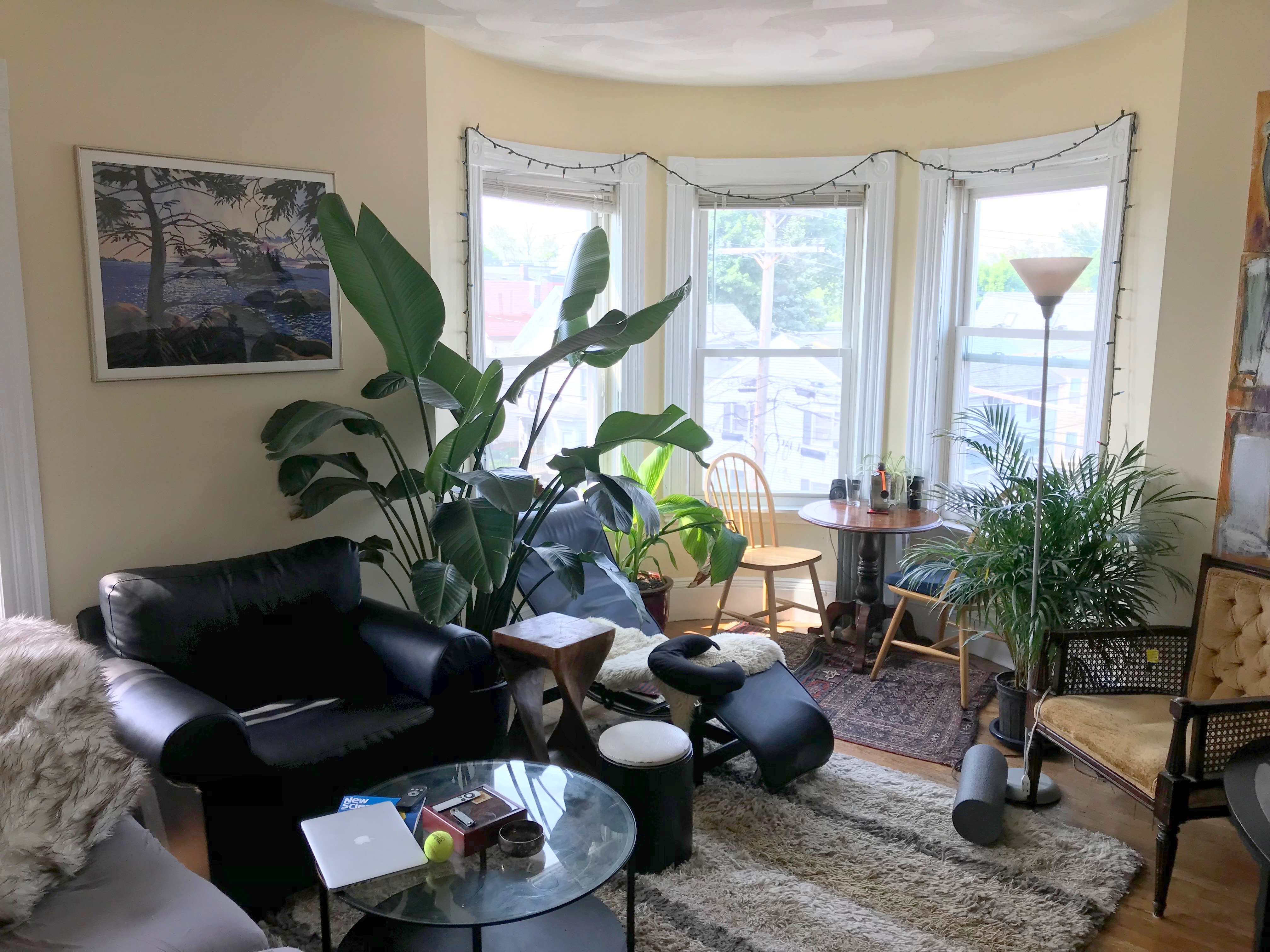 59 Cedar St, Porter Square