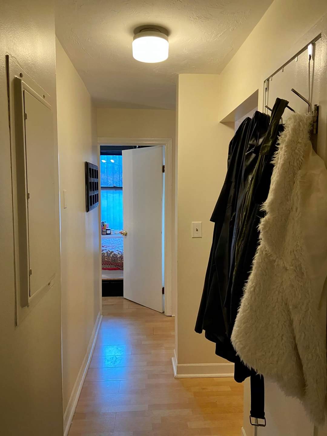 5 Grove St, Beacon Hill