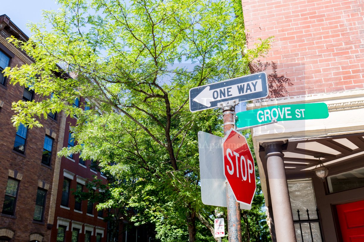 5 Grove St, Beacon Hill