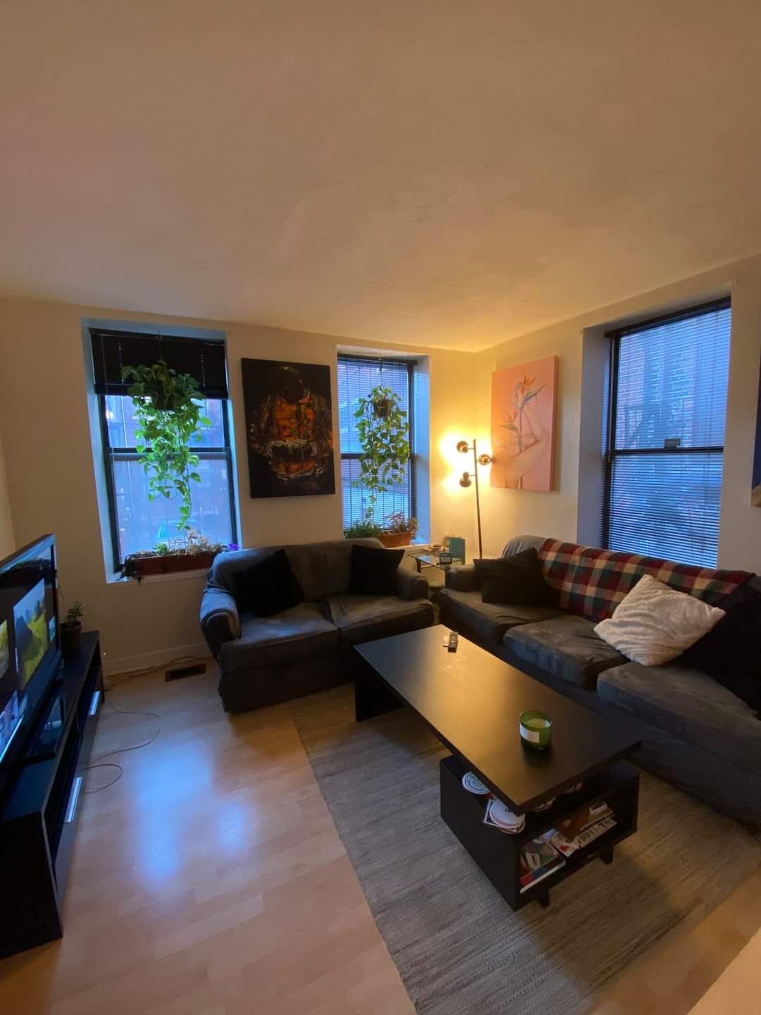 5 Grove St, Beacon Hill