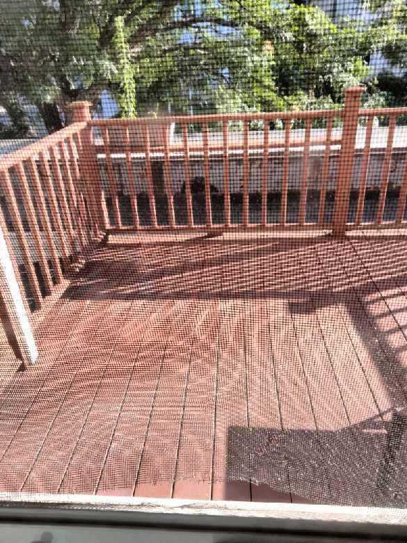 241 Highland Ave, Davis Square