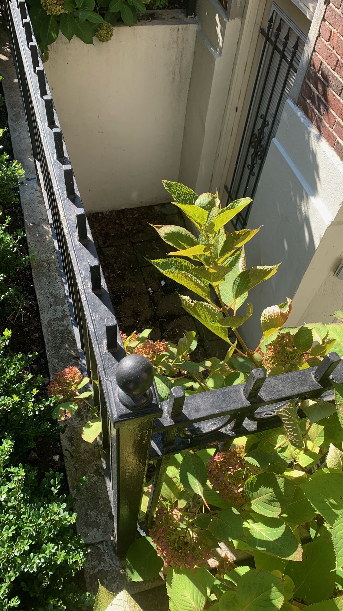 11 Queensberry, Fenway