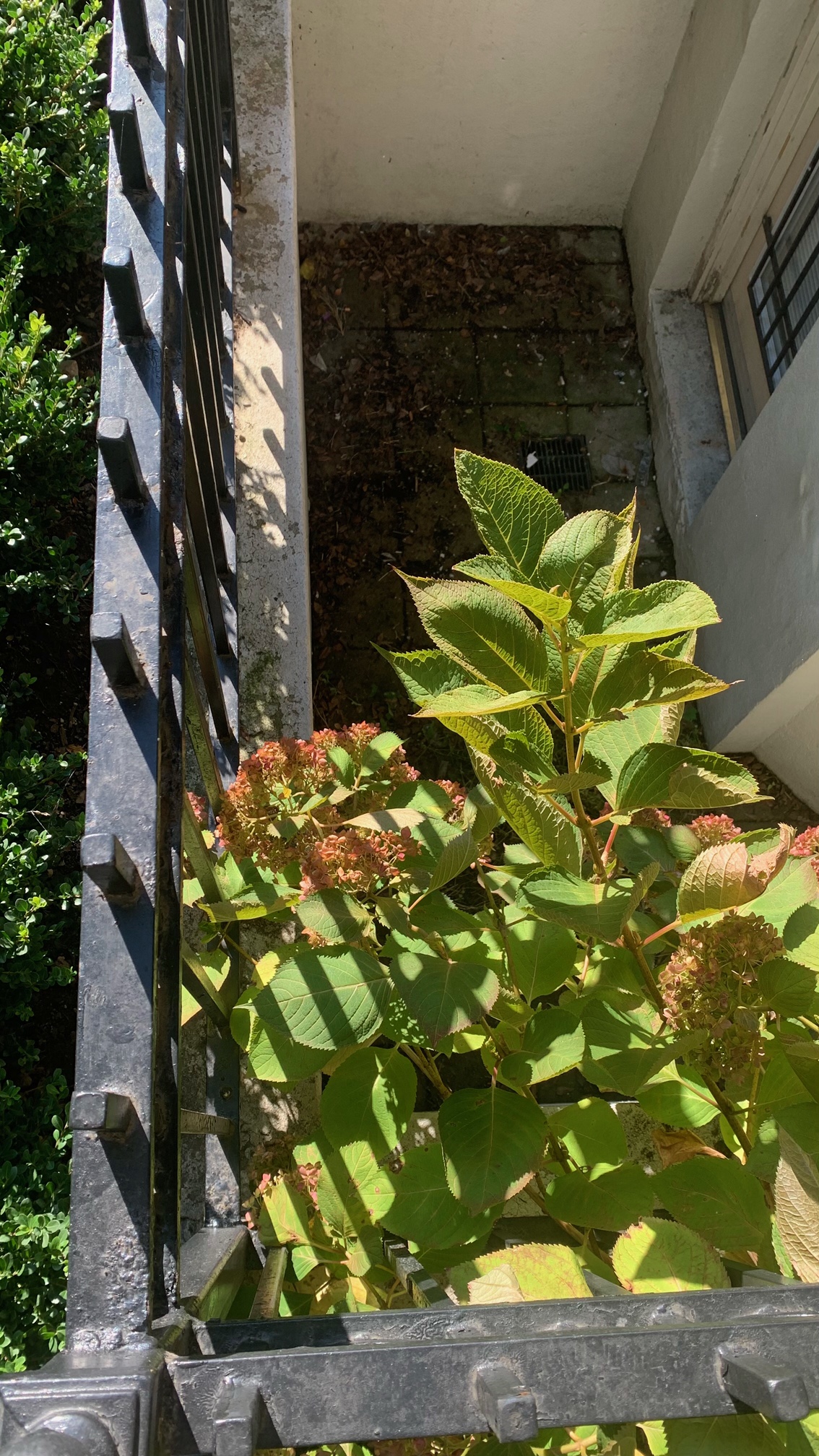 11 Queensberry, Fenway