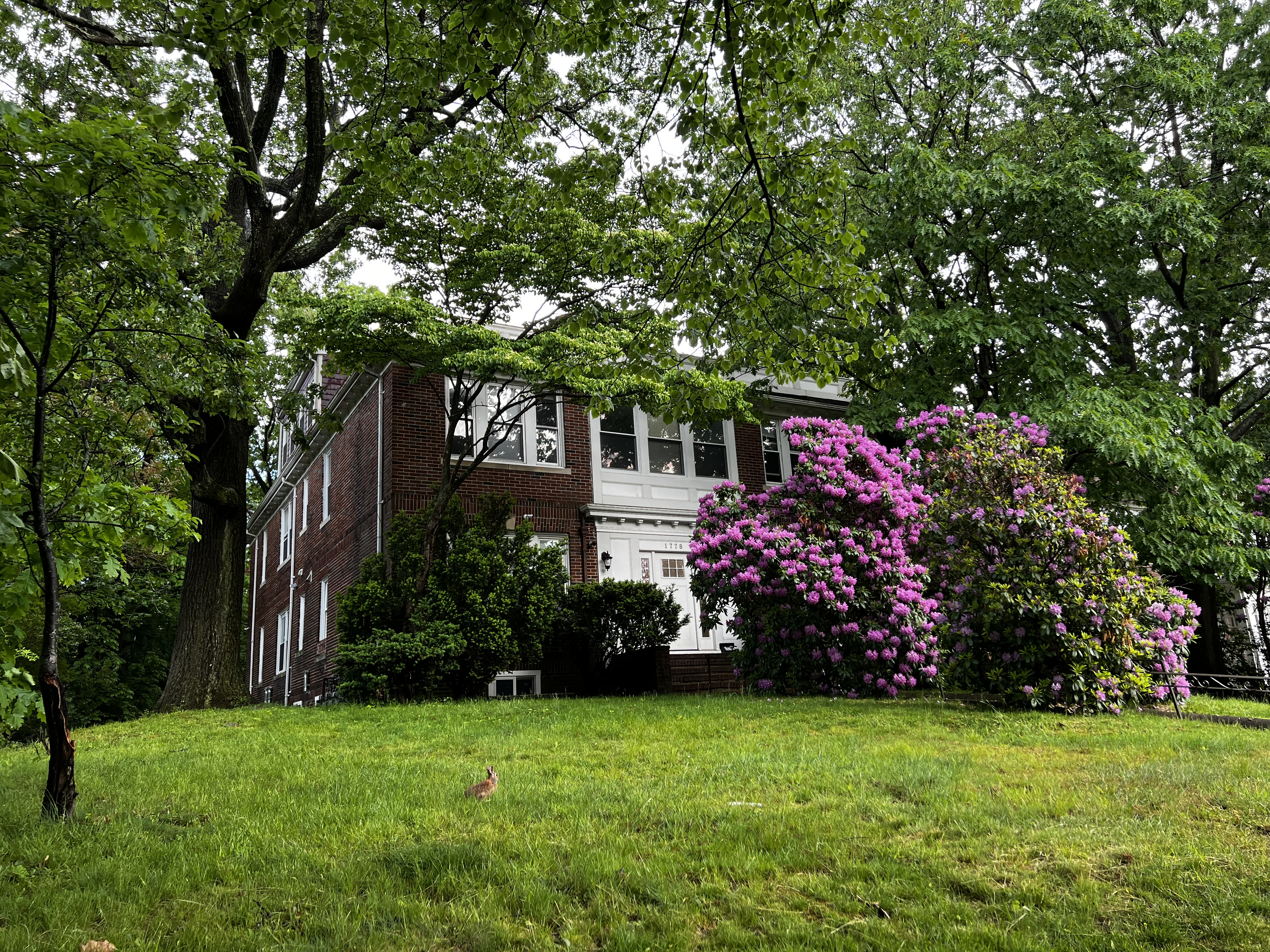 1778 Commonwealth Ave, Brighton