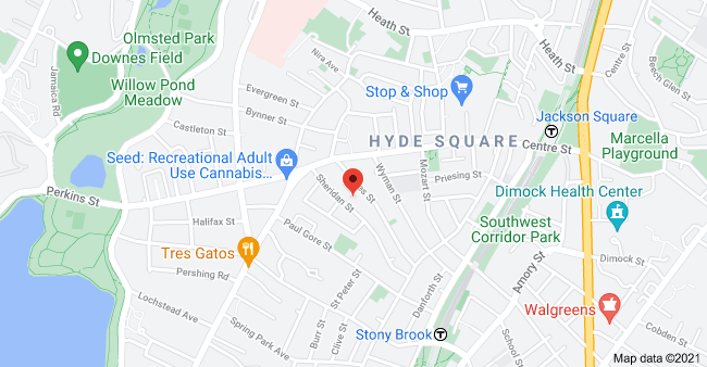 46 Sheridan St, Jamaica Plain