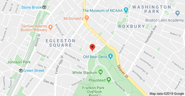 435 Walnut Ave, Jamaica Plain