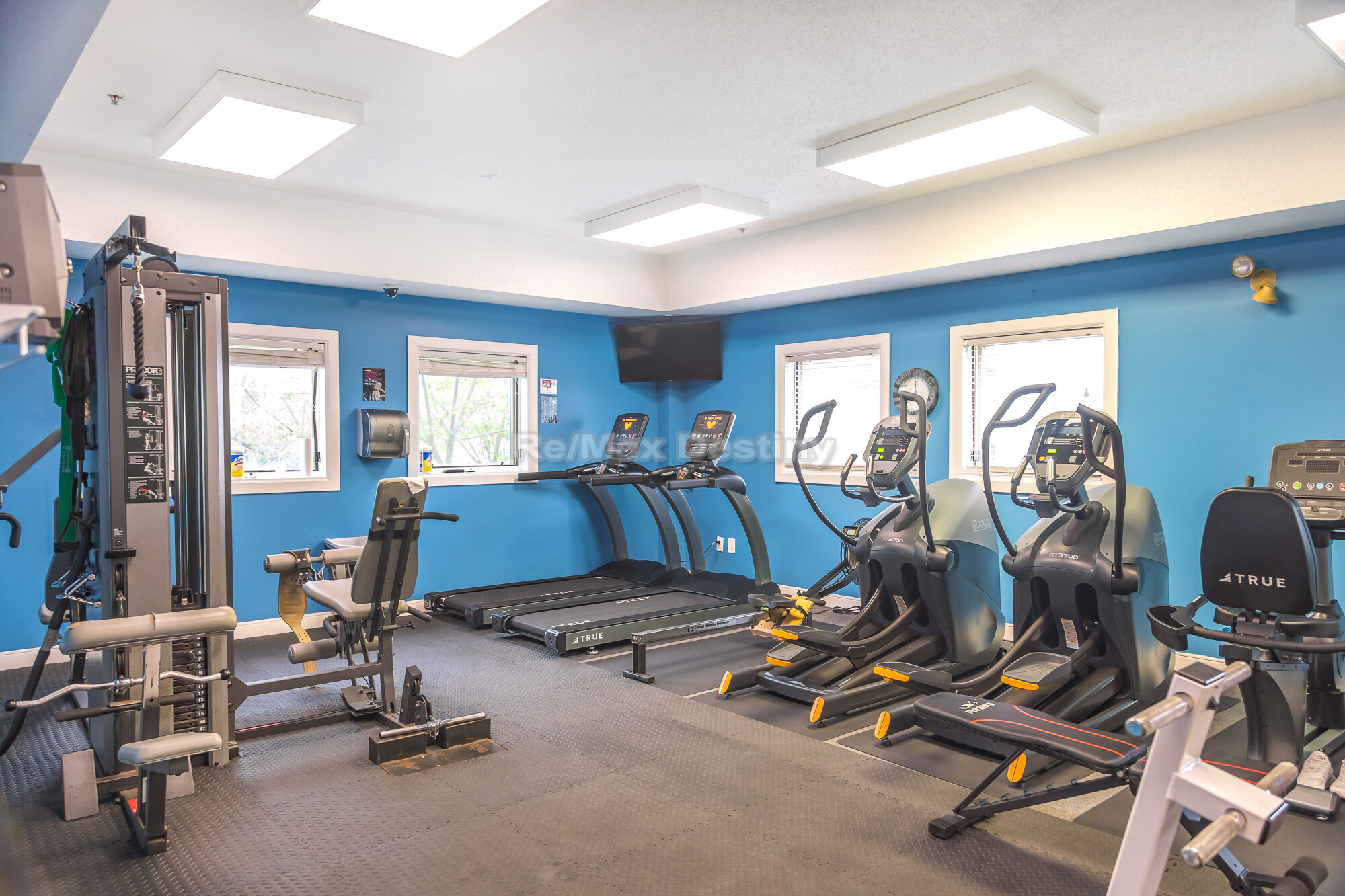 175 Cottage St, Chelsea