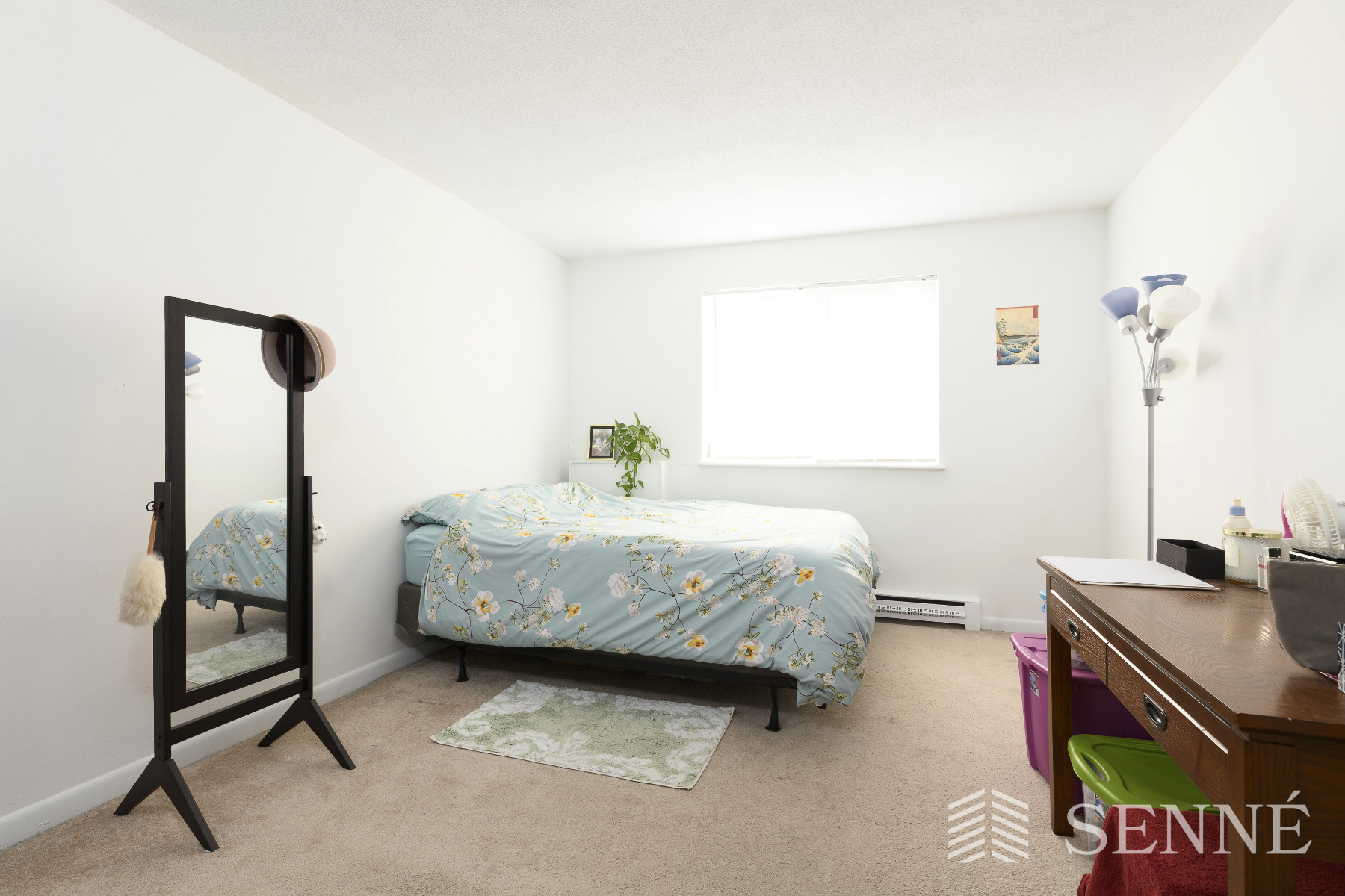 41 Belmont St, Davis Square