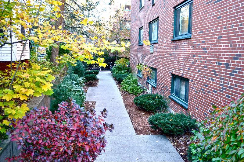 375 Harvard St, Harvard Square