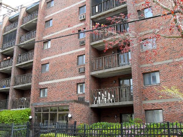 12 Ellery St, Harvard Square