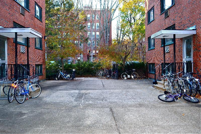 375 Harvard St, Harvard Square