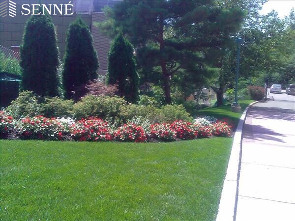 700 Huron Ave, West Cambridge