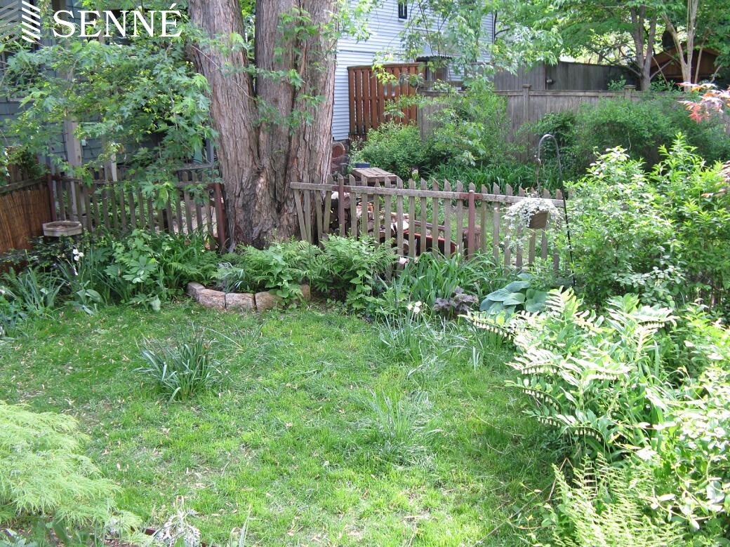 57 Gorham St, Harvard Square