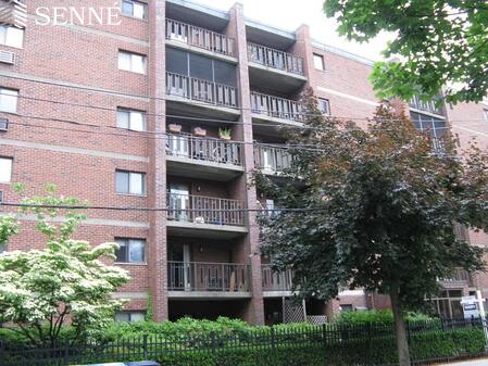 12 Ellery St, Harvard Square