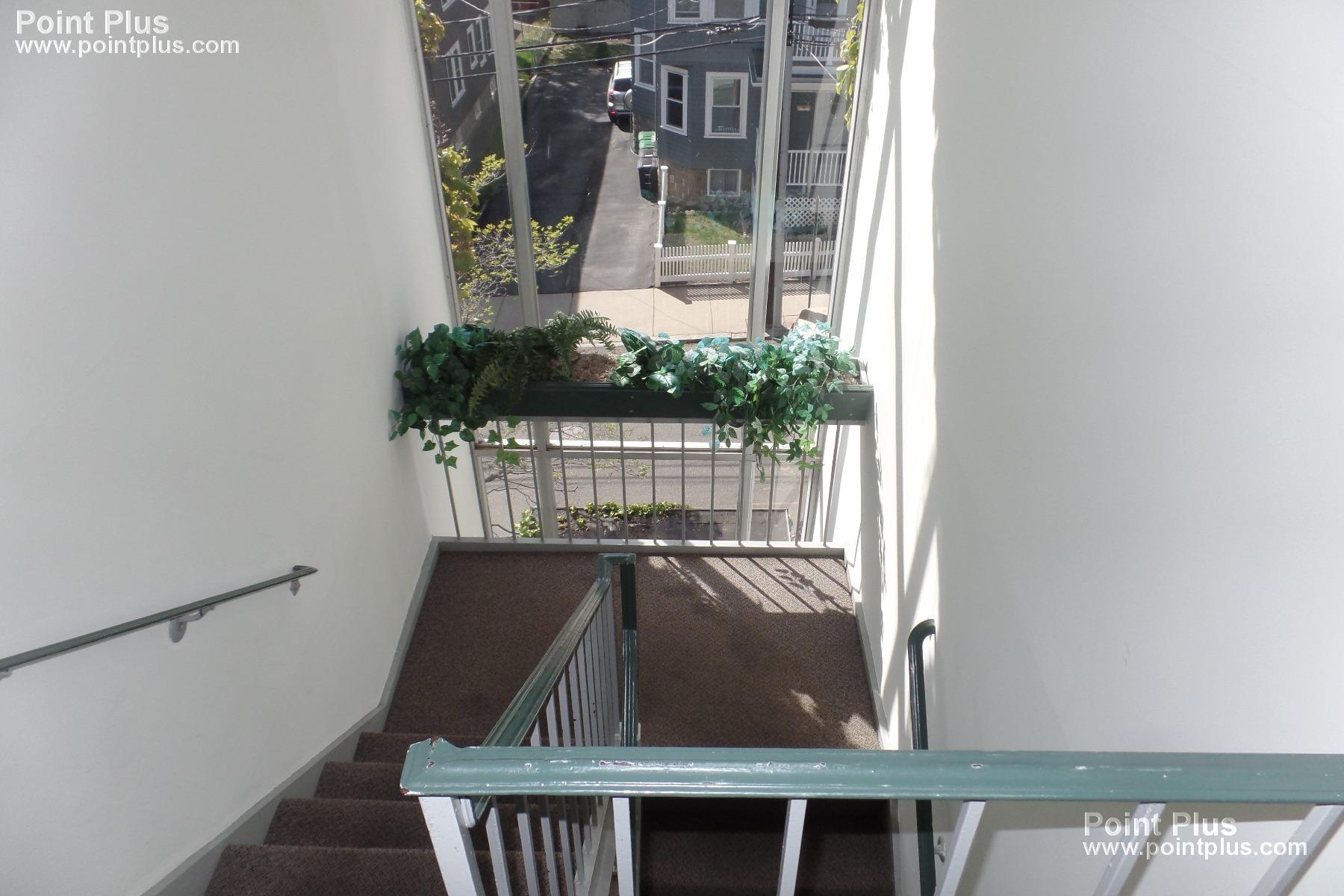 41 Belmont St, Davis Square