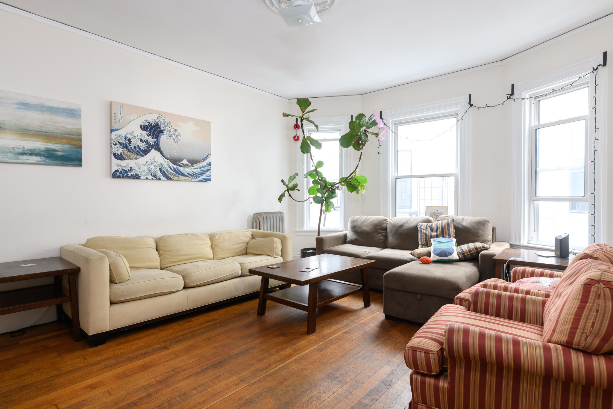 19 Trowbridge St, Harvard Square