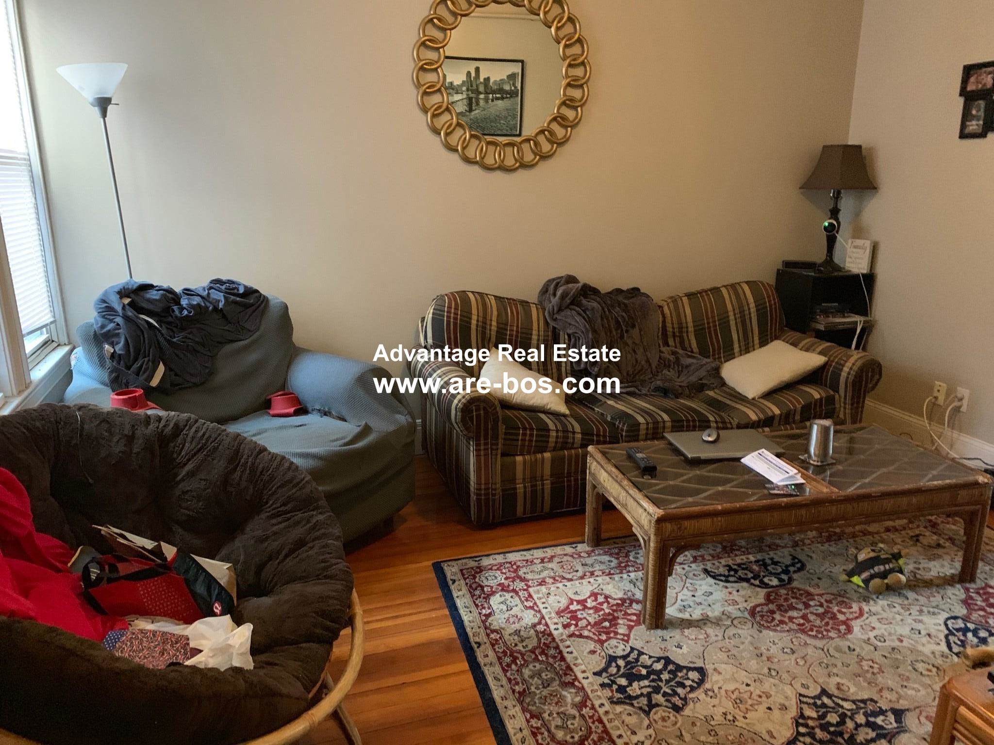 14 Chestnut Hill Ave, Brighton