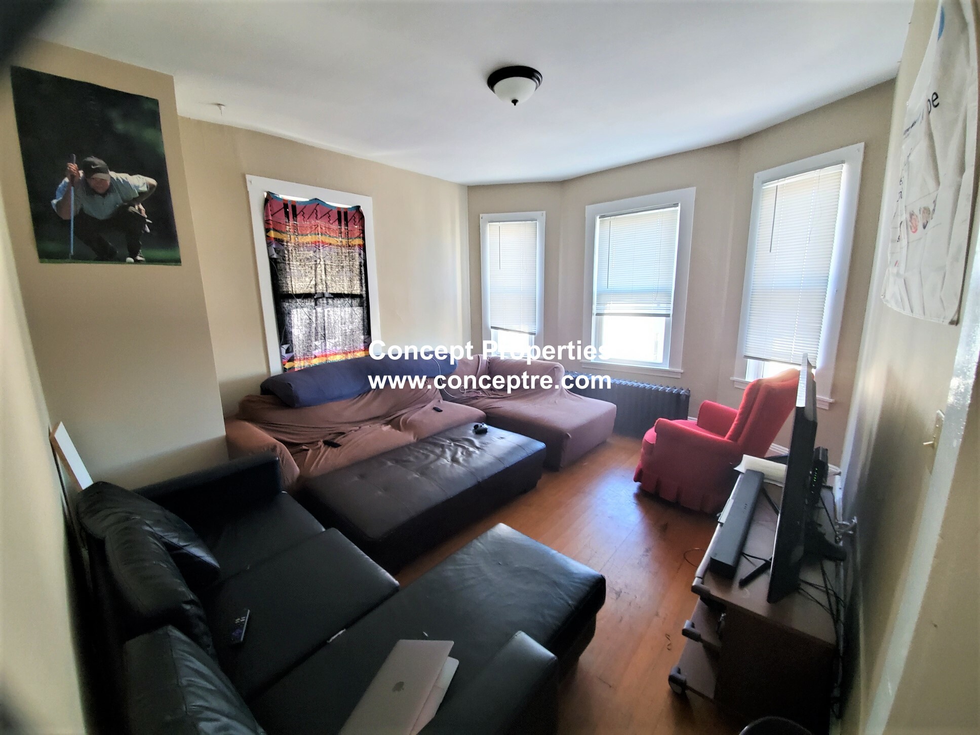 6 Sunset St, Mission Hill