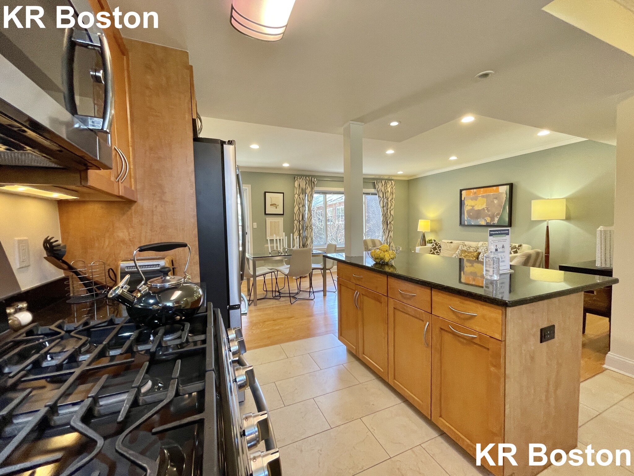 220 Independence Dr, Chestnut Hill