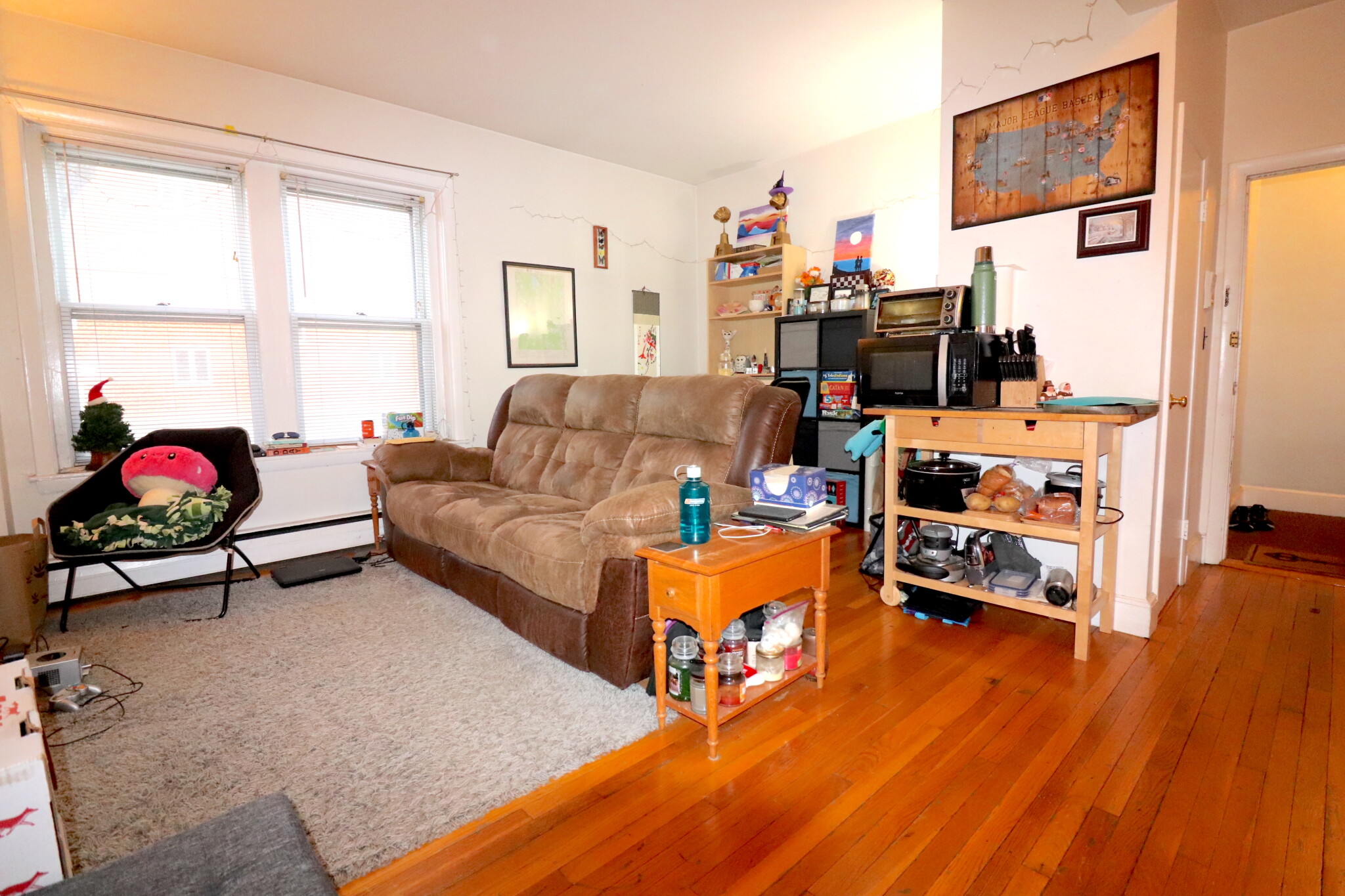 202 Saint Paul St, Coolidge Corner