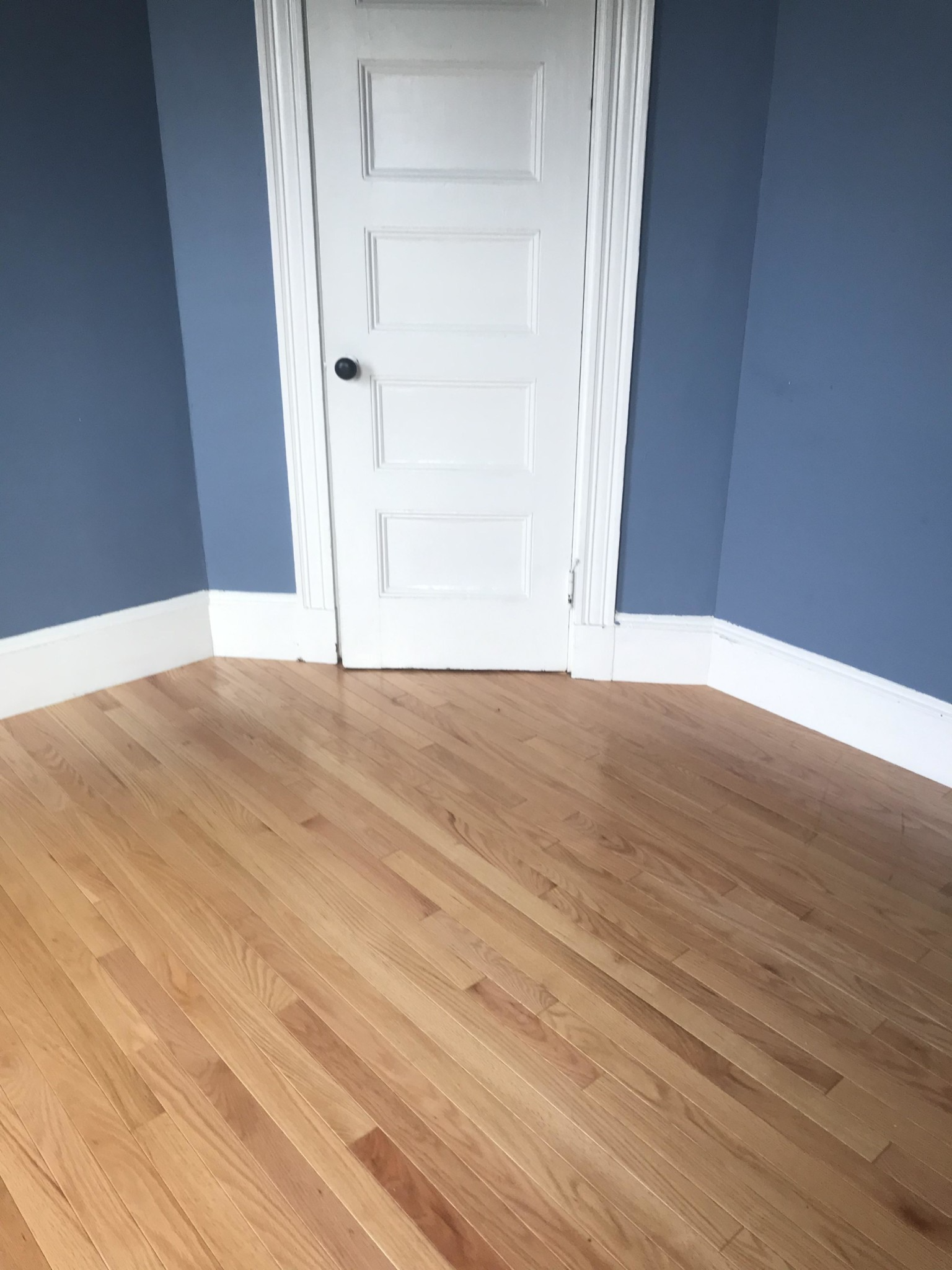 88 Fisher Ave, Mission Hill