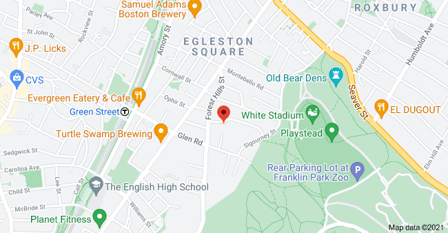 18 Robeson St, Jamaica Plain