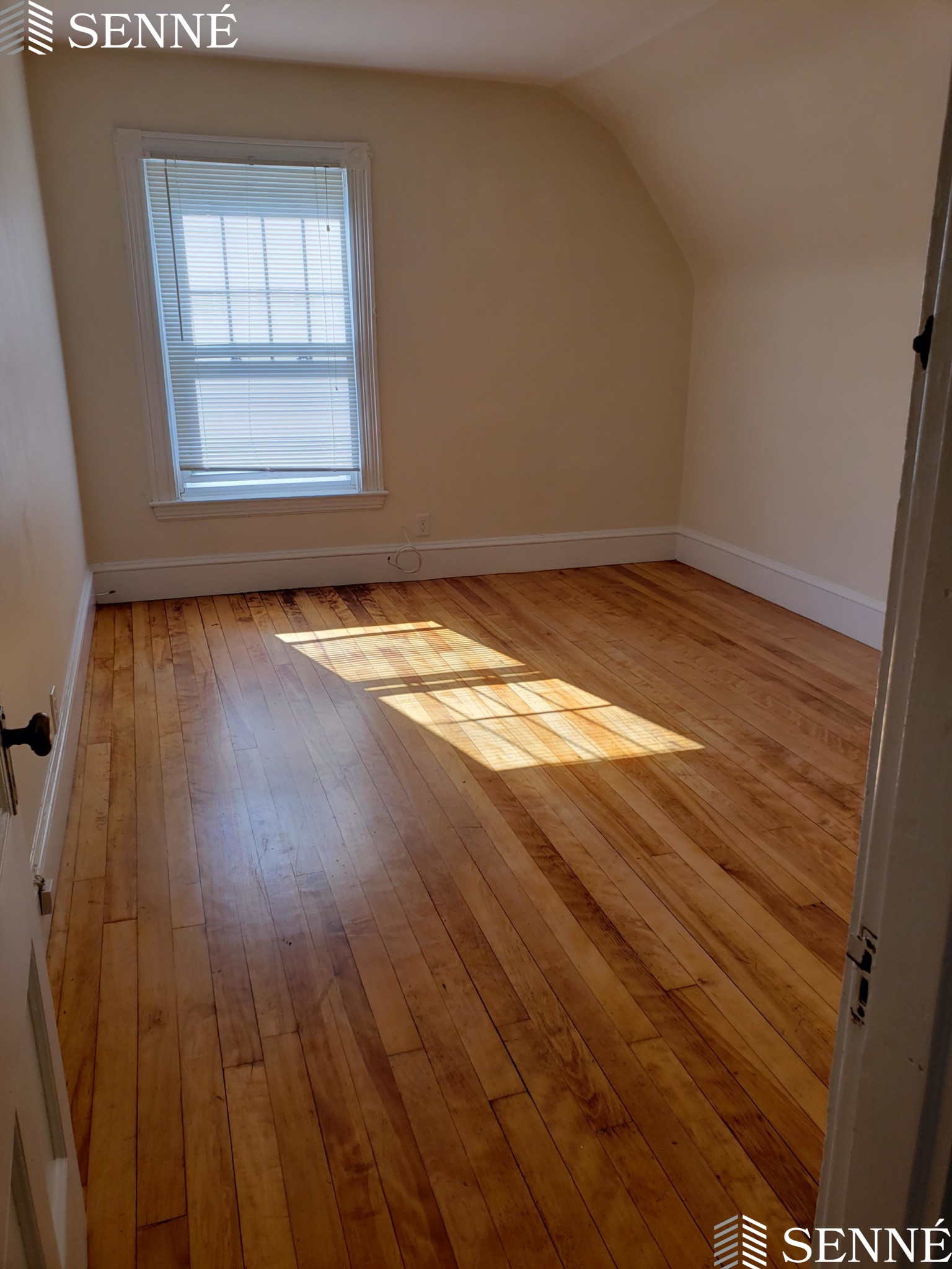 27 Hammond, Harvard Square