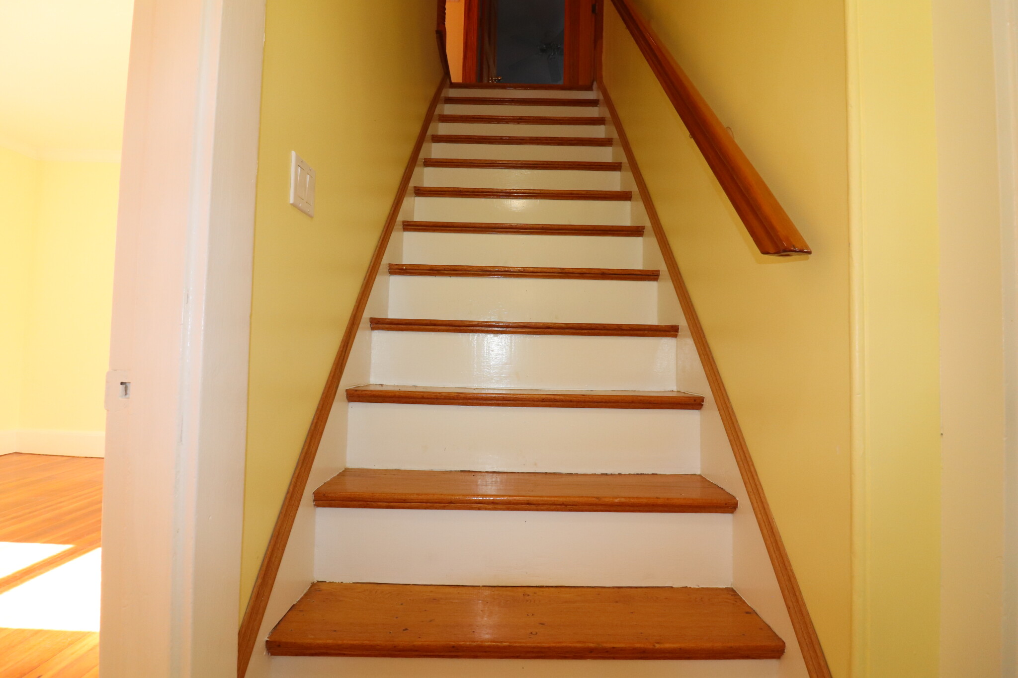 19 Faxon St, Newton