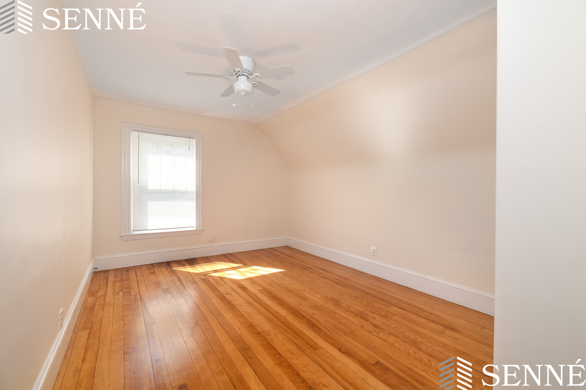 27 Hammond St, Harvard Square