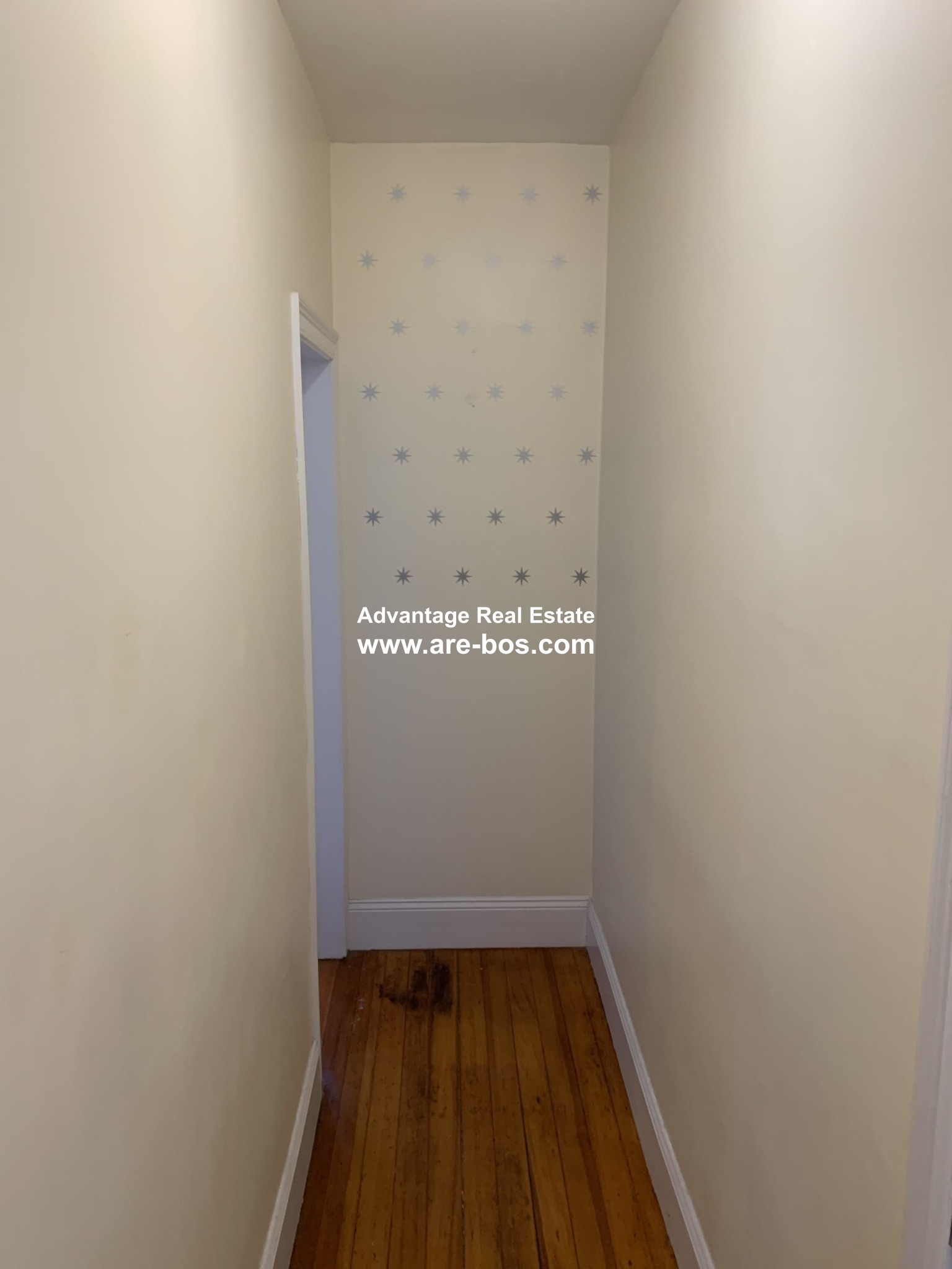 14 Chestnut Hill Ave, Brighton