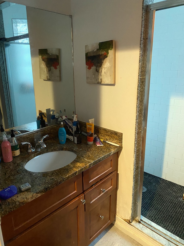 64 Louis Prang St, Fenway