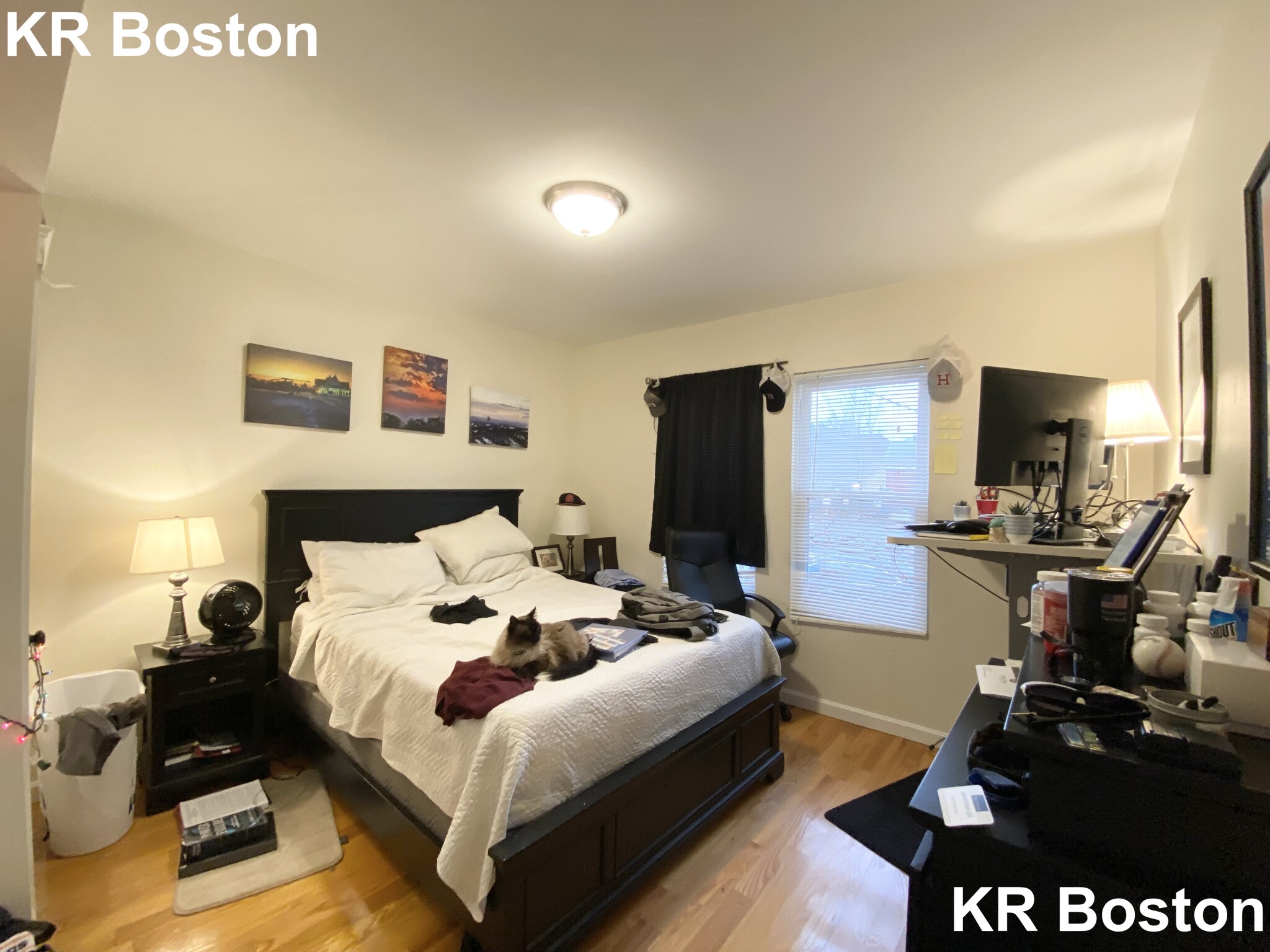 21 Weitz St, Allston