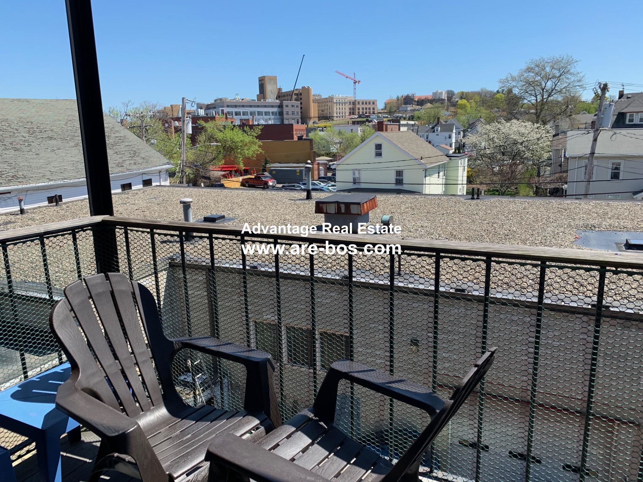 14 Chestnut Hill Ave, Brighton