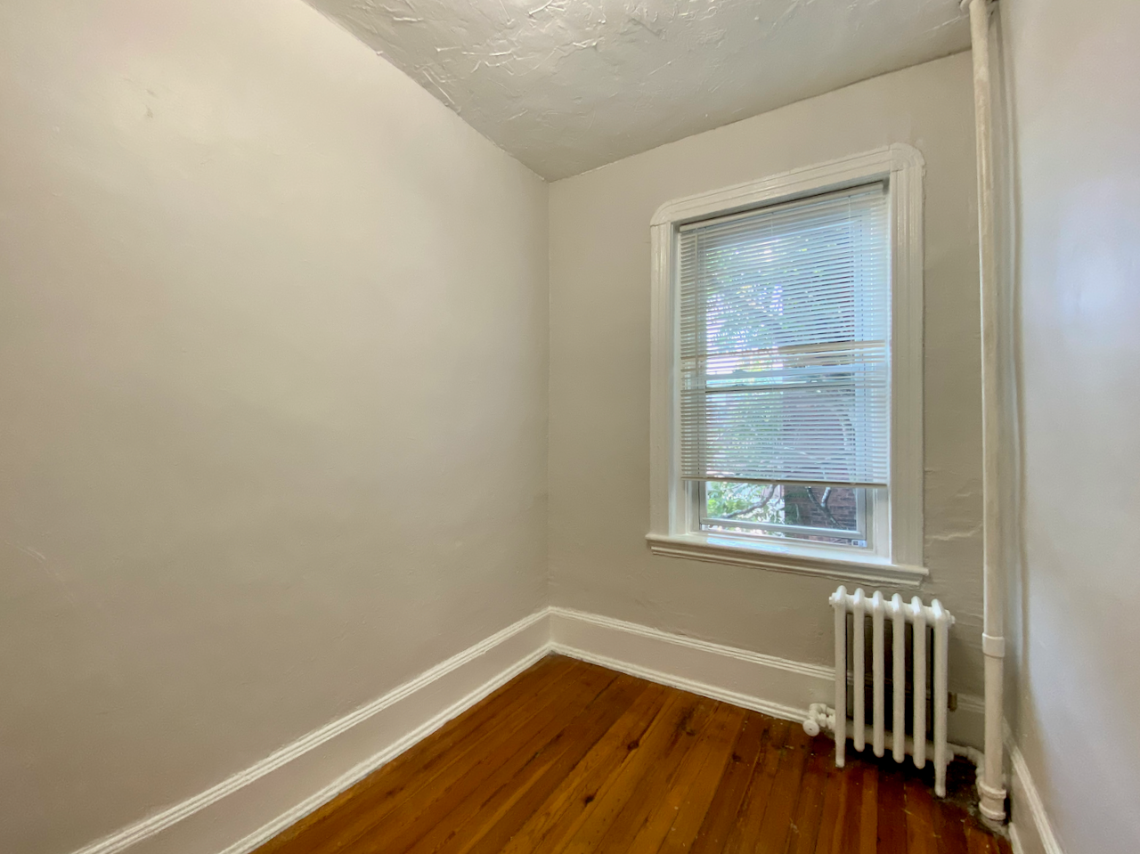 34 Anderson St, Beacon Hill